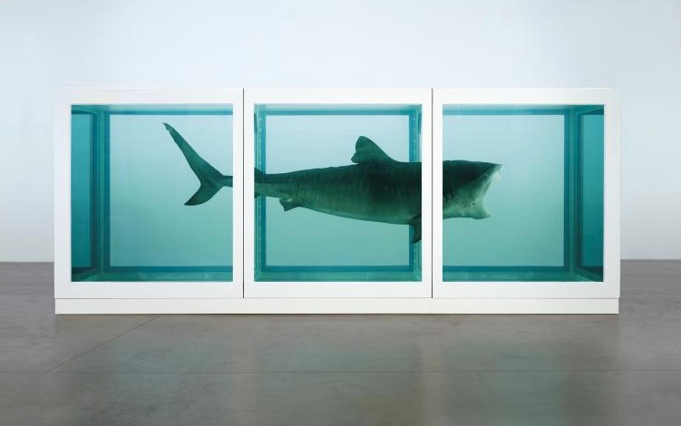 The Physical Impossibility of Death by Damien Hirst