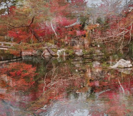 Floating World by Ori Gersht