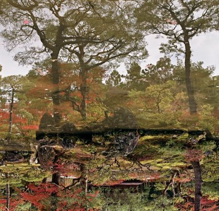 Floating World by Ori Gersht